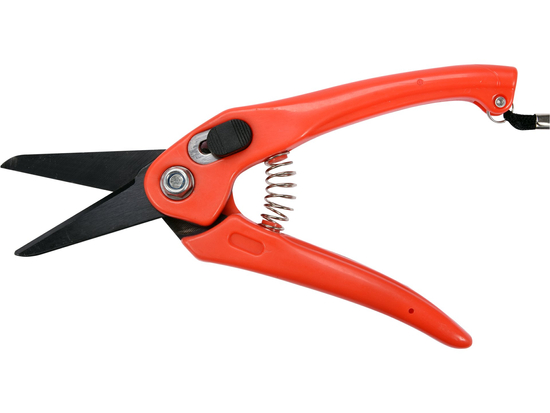 PRUNER