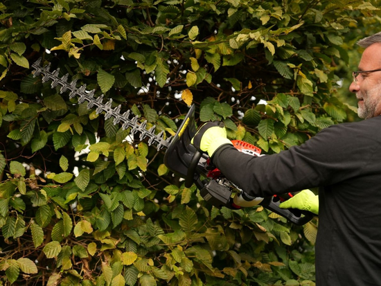 GASOLINE HEDGE TRIMMER 25.4CC 60CM