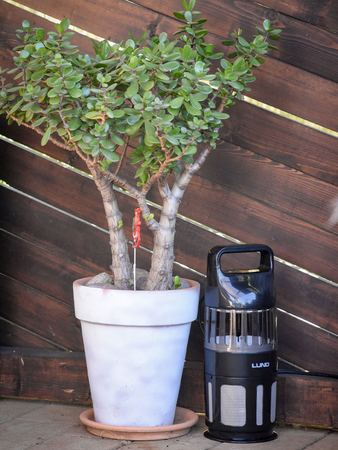 INSECT KILLER LAMP WITH FAN UV-A 15W