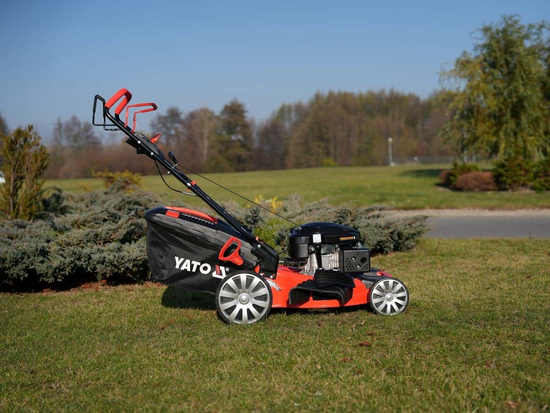 53 CM ΒΕΝΖΙΝΟΚΟΠΗΤΙΚΟ ΜΕ ΚΙΝΗΣΗ 196 CM3