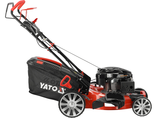 TOSAERBA A SCOPPIO DA 53 CM CON TRASMISSIONE DA 196 CM3