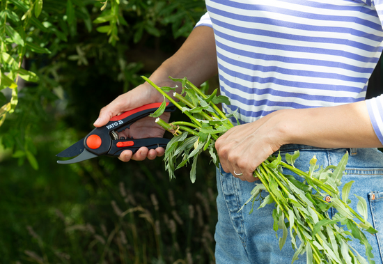 TIJERAS PRECAUTORAS 210 MM