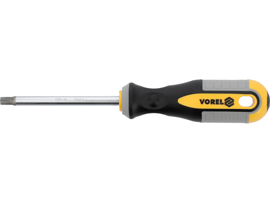 CACCIAVITE TORX T40X100 MM CRV