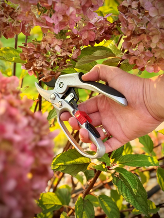 RATCHET ANVIL PRUNER 200MM WITH LOCK