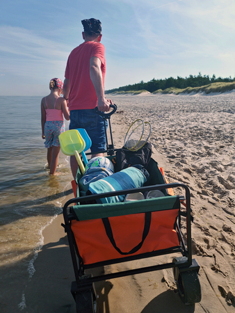 CHARIOT DE VOYAGE DE JARDIN PLIABLE