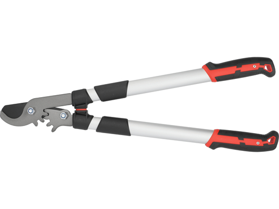 TELESCOPIC GEAR BYPASS LOPPERS 660-910MM