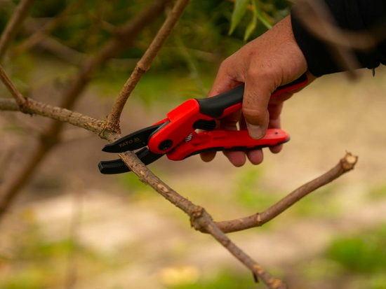ANVIL PRUNER 205MM WITH LOCK