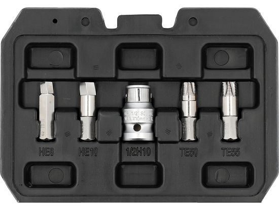 EXTRACTOR SET FOR TORX AND HEX FITTINGS 19PCS