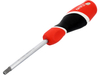 CACCIAVITE DI SICUREZZA TORX T40X100MM