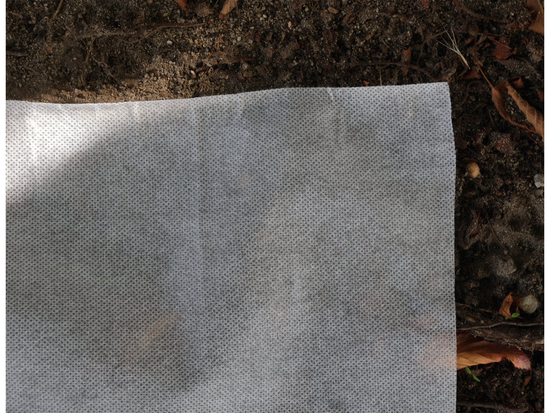 AGR NONWOVEN 50 G - 1,6X50M