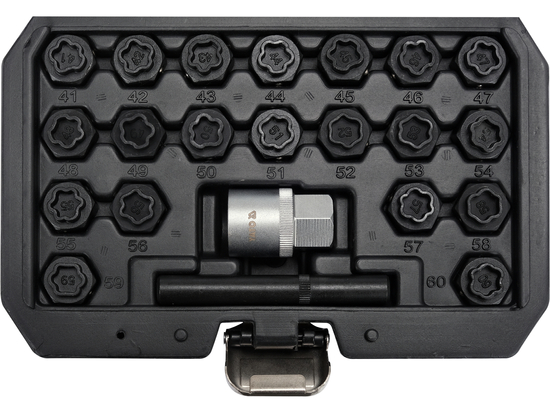 JUEGO DE VASOS PARA TORNILLOS DE SEGURIDAD BMW, 22 ELEMENTOS