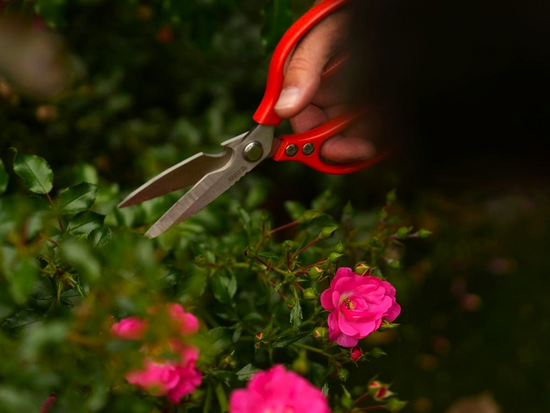 TESOURA DE JARDINAGEM 215MM AÇO INOXIDÁVEL