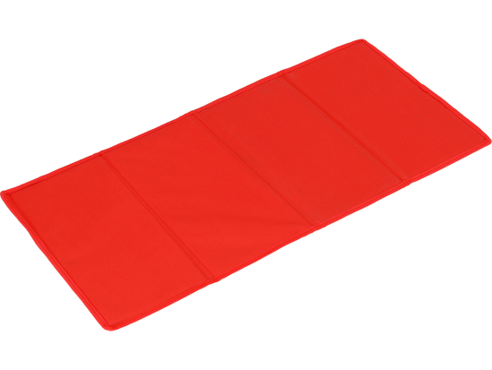 SALOKĀMI DĀRZA CEĻOJUMA RATIŅI