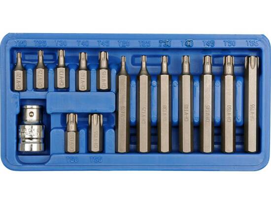 SPECIALIEJI TORX RAKTAI T20-T55, 15 VNT.